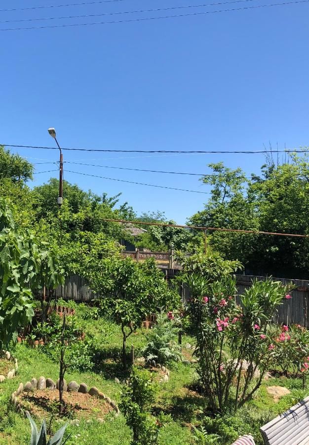 Проживание в семье Мари Цхалтубо-10